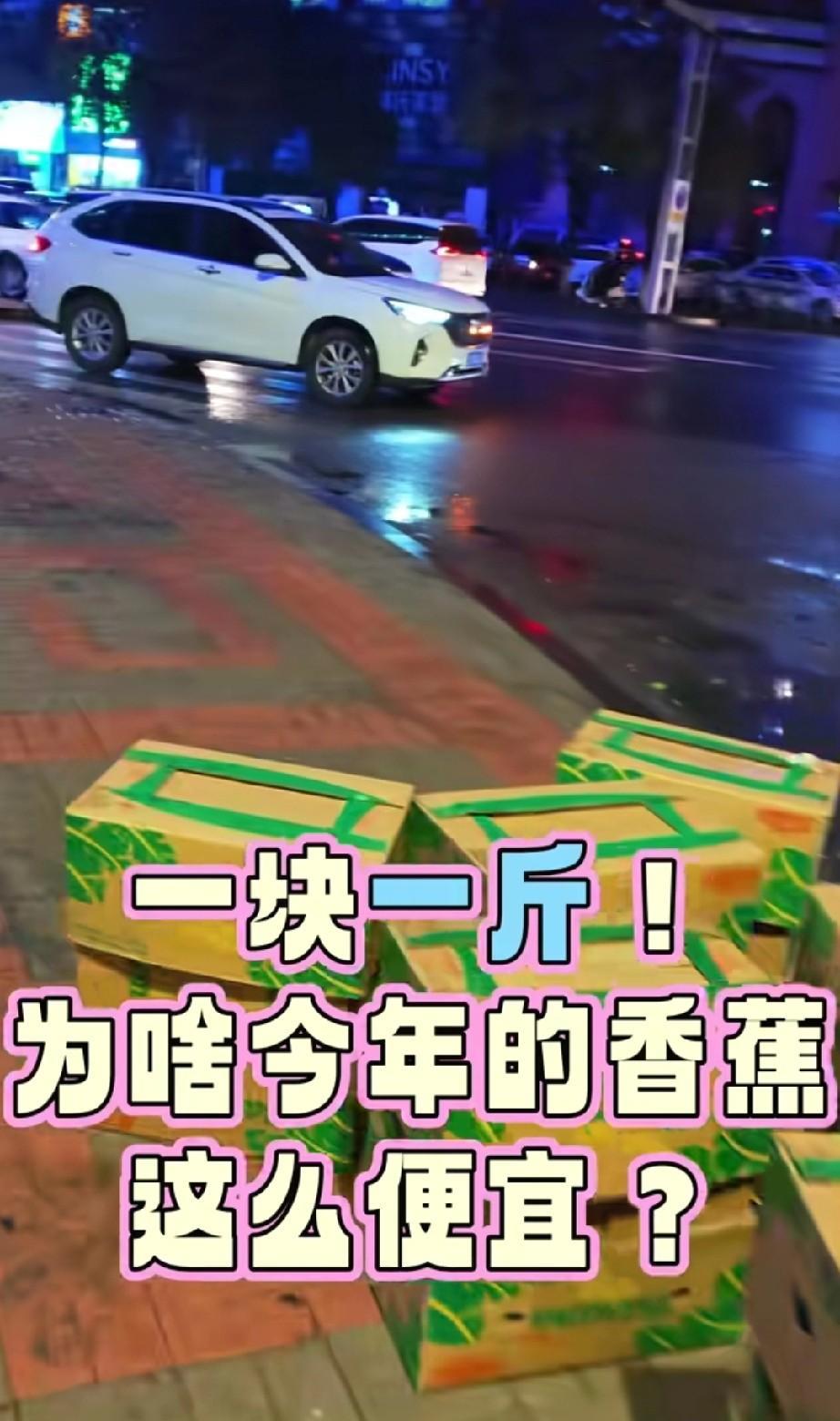 你们那里香蕉多少钱一斤？大同的香蕉卖一块一斤，大同人真的太有口福了。
今年的香蕉