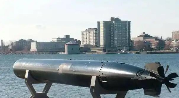 鱼雷太难造 只有九国能搞定

                         