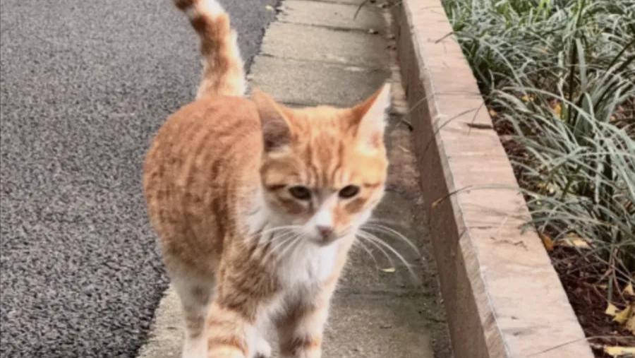 《红舞鞋》剧组翻车实锤！挪石墩榨群演还假捐，校园不是摇钱树