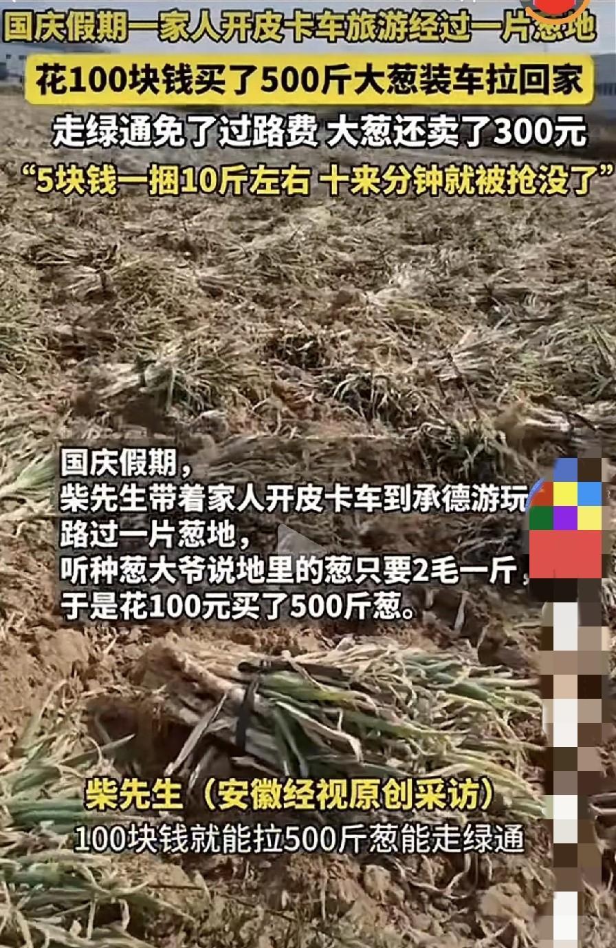 国庆假期，安徽的柴先生开着皮卡车带着家人去河北承德游玩。
回来时路过一片大葱地，