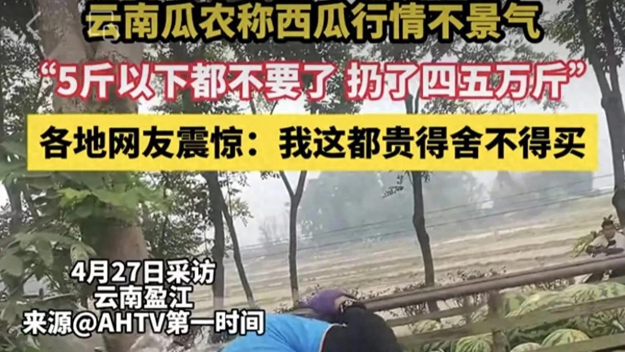 价贱伤农！西瓜收购价仅有七八毛一斤，果农无奈丢弃五万斤西瓜：五斤以下的西瓜全部丢掉