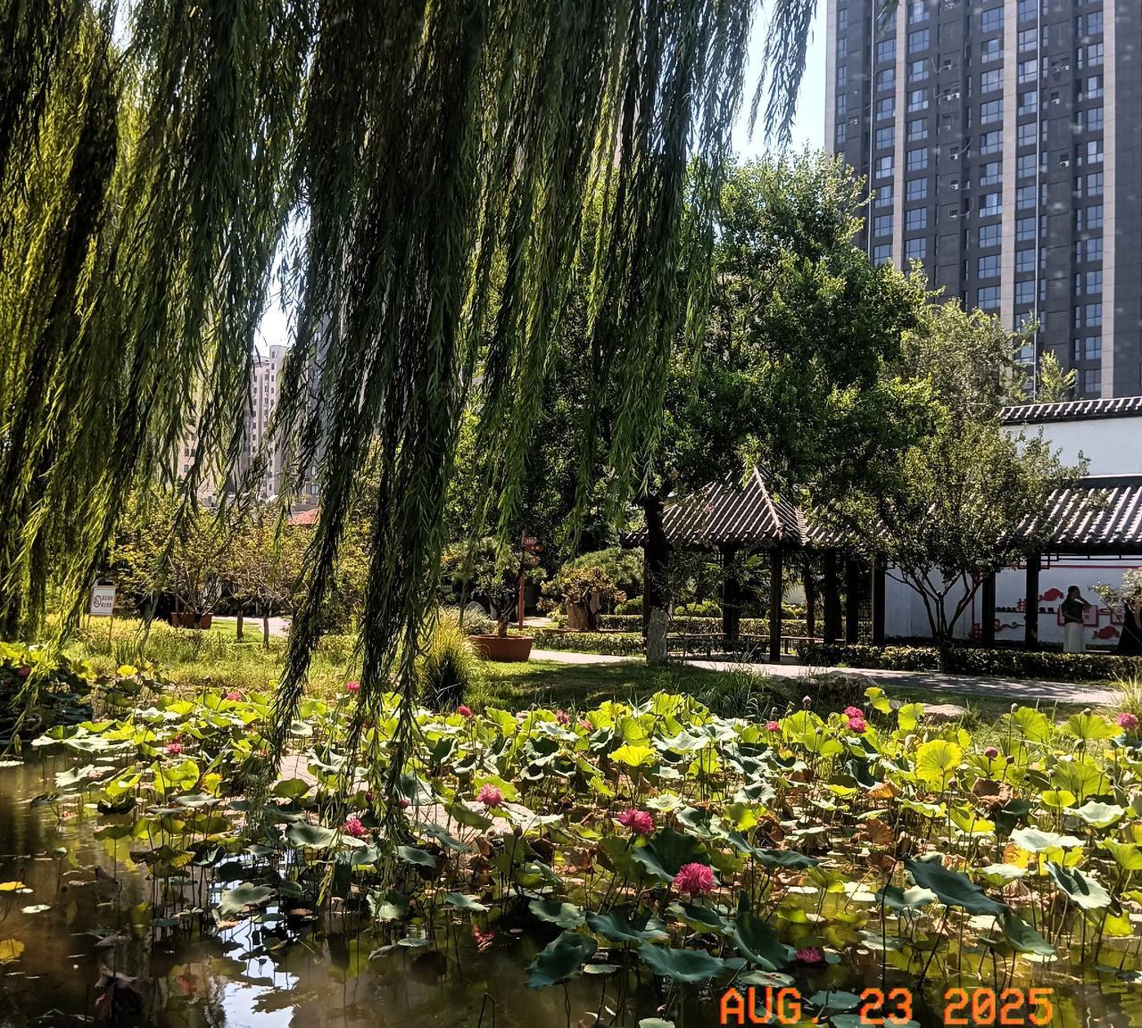 问你们个有意思的问题，
你们都是咋开空调的？
今天和同事们聊起这个问题，
竟然发