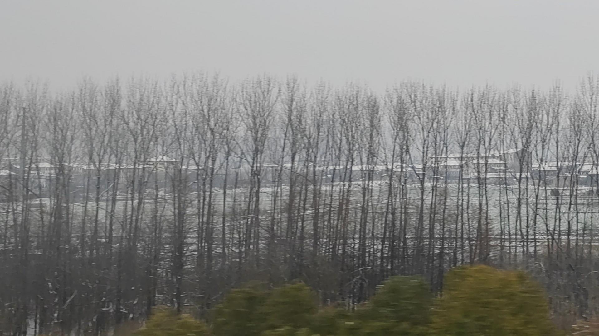 行走职场：风雨来时，能咋办？