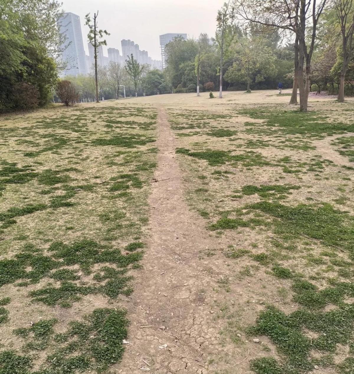 我家公公和婆婆离婚十几年了，公公带着小老婆远走高飞，这么多年一直没有音讯，上个月