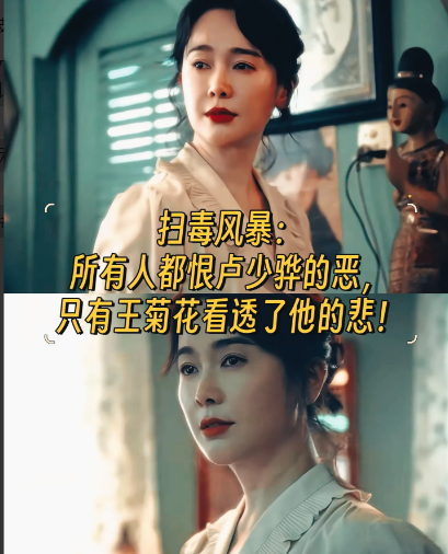 《扫毒风暴》里的王菊花与卢少骅，是绝境里开出的两朵对立之花。
     卢少骅曾