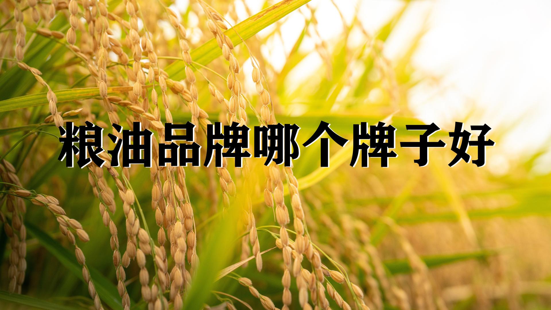 粮油品牌哪个牌子好