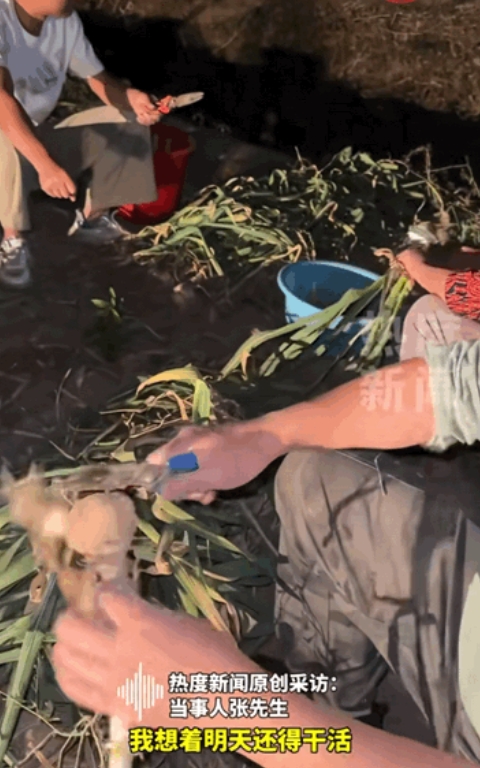 这样的人品全国罕见！”山东菏泽，男子帮岳母收蒜到晚上十点，就因妻子临终前托付他要