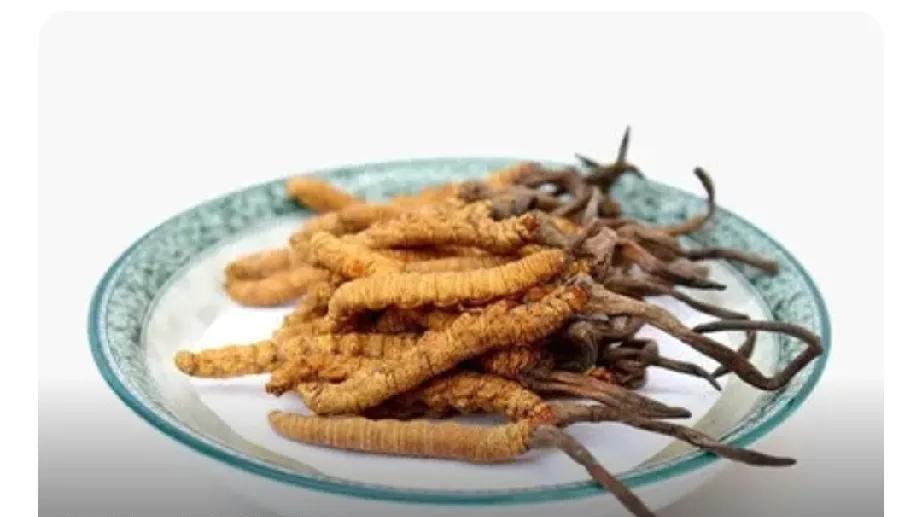 为了赚钱竟把“主意”打到保护植物上？甘肃一男子这回彻底栽了！最近，甘肃省祁连山林