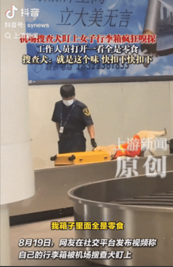 万万没想到！天津，一女子过机场安检时，搜查犬突然盯上她的行李箱，开始疯狂嗅探，工