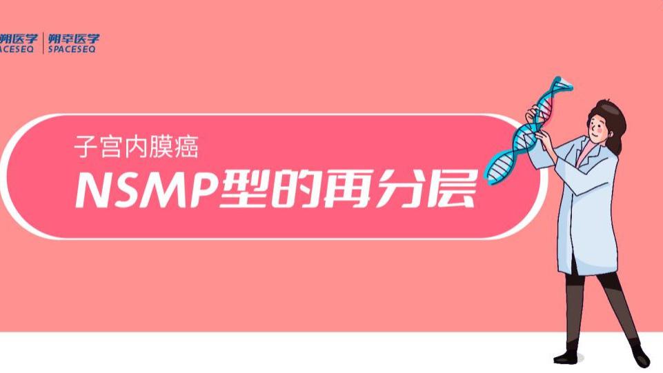 NSMP型的再分层