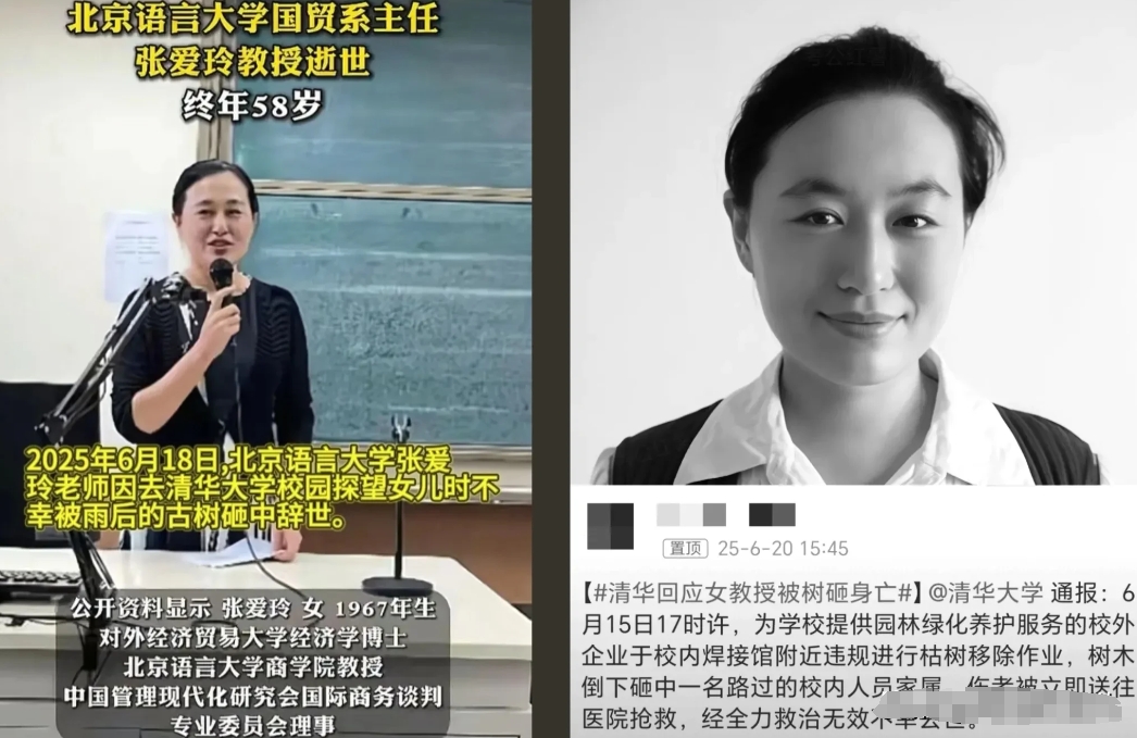 真没有想到！58岁的女教授，再去清华的路上被古树砸中，不幸去世！

原来事发当天