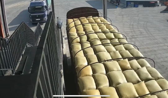 昆明年入境货车惊现“蜂巢”副驾驶！