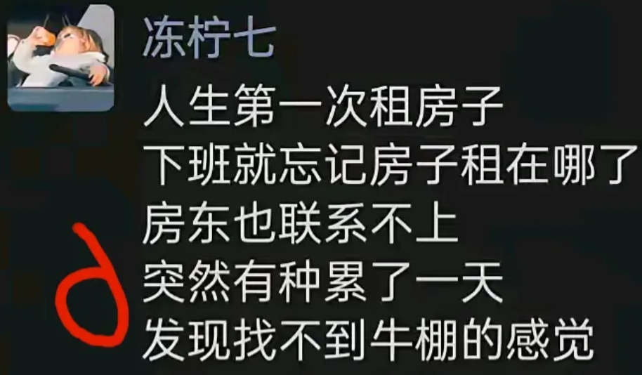 好惨，牛马人生，人生牛马