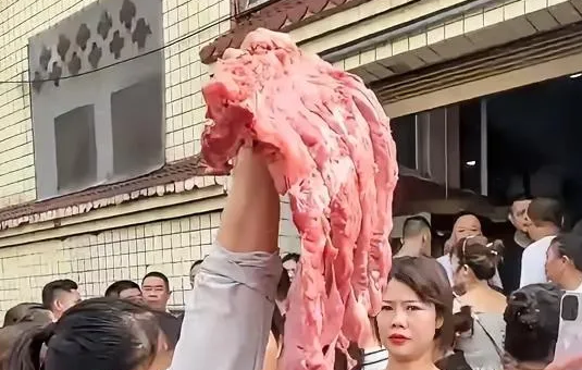 富顺鲲鹏公司的人现在估计在办公室坐不住了