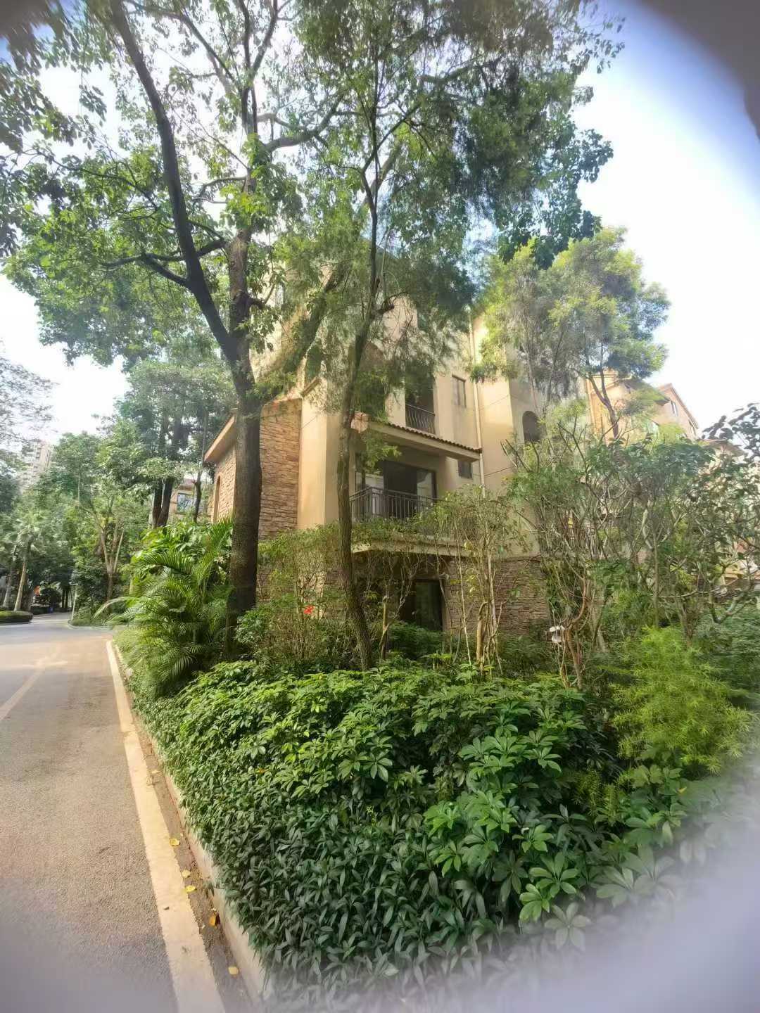 【独栋别墅风水5大核心】
1地势藏风聚气:前低后高为佳，背靠山/高楼，门前明堂开