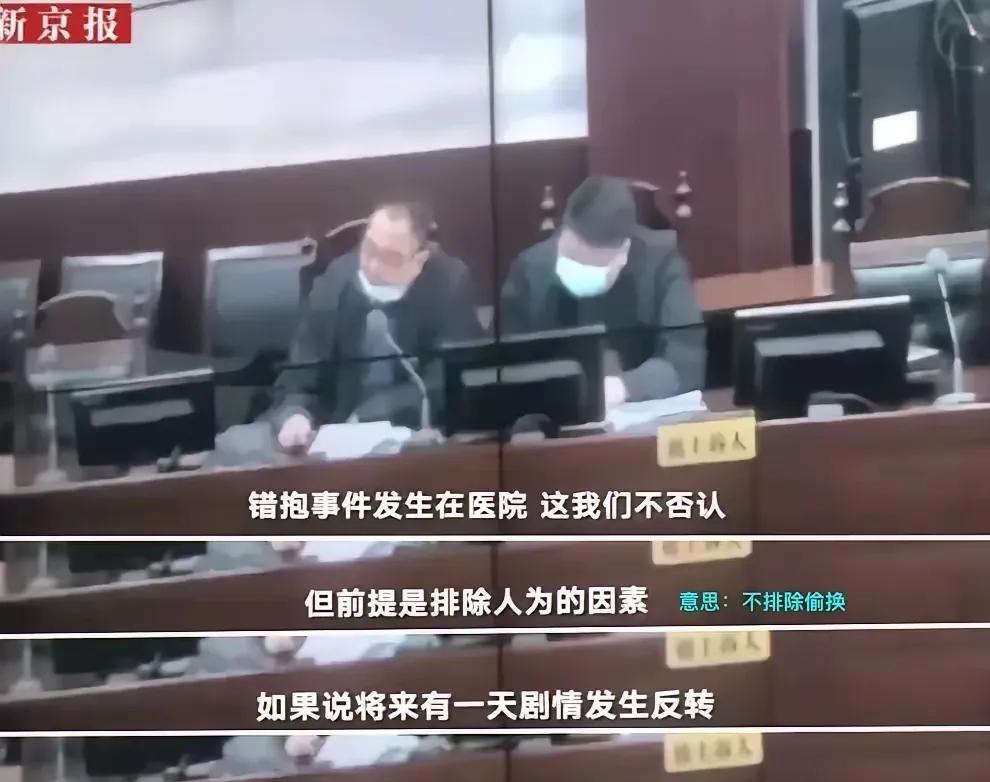 二八换子案，许敏追查真相。



当淮河医院的代理律师在法庭上发表最后陈述时，说