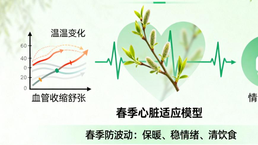 季节变化与心律养护——春夏秋冬，心脏的“适应课”