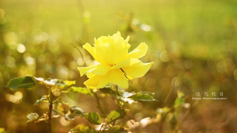 为什么有些人能永不复发？抑郁症患者保持长期稳定的5个关键密码