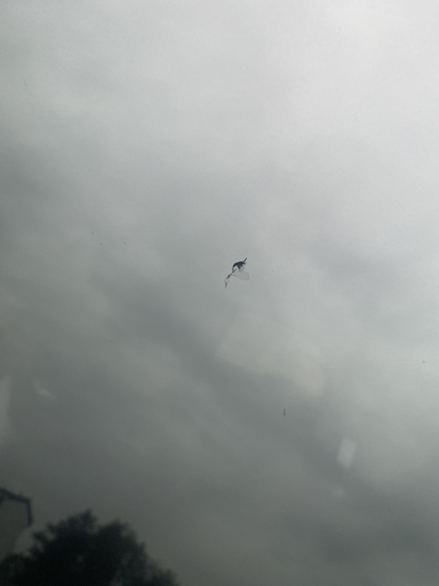 玻璃天幕坏了
高速上，一个石子把天幕砸破了，修复大概要多少钱？要不要报保险？