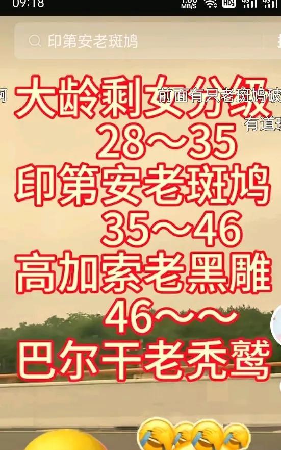 “印第安老斑鸠”这梗可有点损。
说的是大龄剩女网络用词，也有事业有成的高学历的女