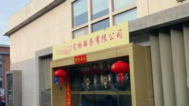 上海披露一起宠物诈骗案，12人获刑