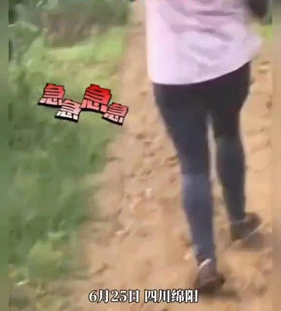 太不容易了！四川绵阳，还在地里干活的父母，得知女儿高考成绩出来后，赶紧放下手中的