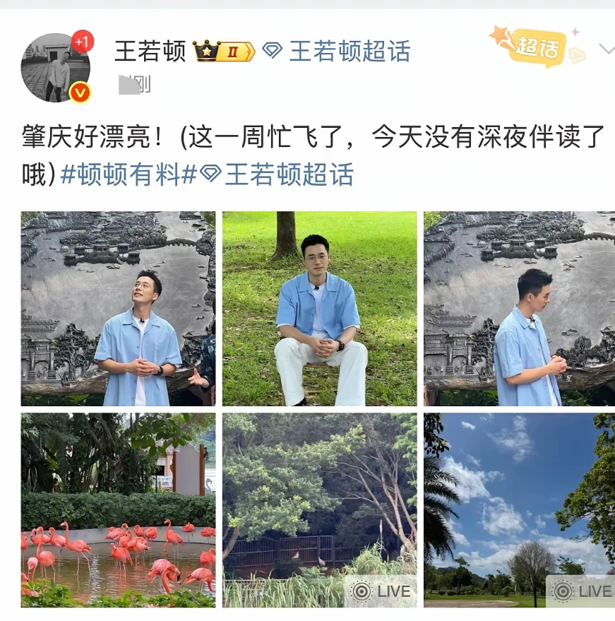 总觉得顿顿怪怪的，

离职到无缝衔接，

目前已经接拍节目，

说明早就开始布局