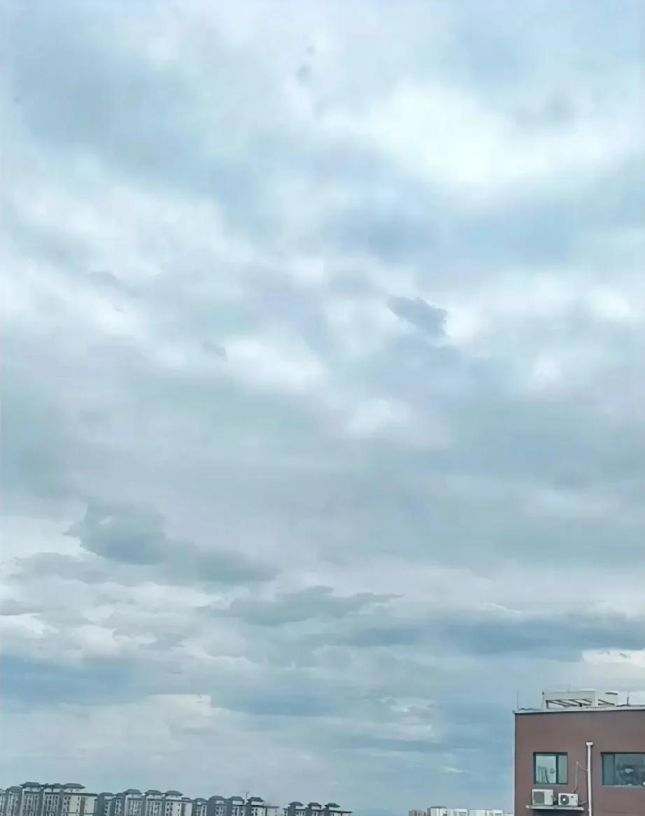 今天这个天真好，大风呼呼的吹[太阳]