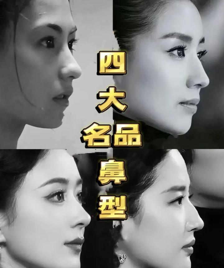内娱四大名品鼻型，都是精雕细琢，受造物主偏爱的，整容都整不出这么完美，最有特色的