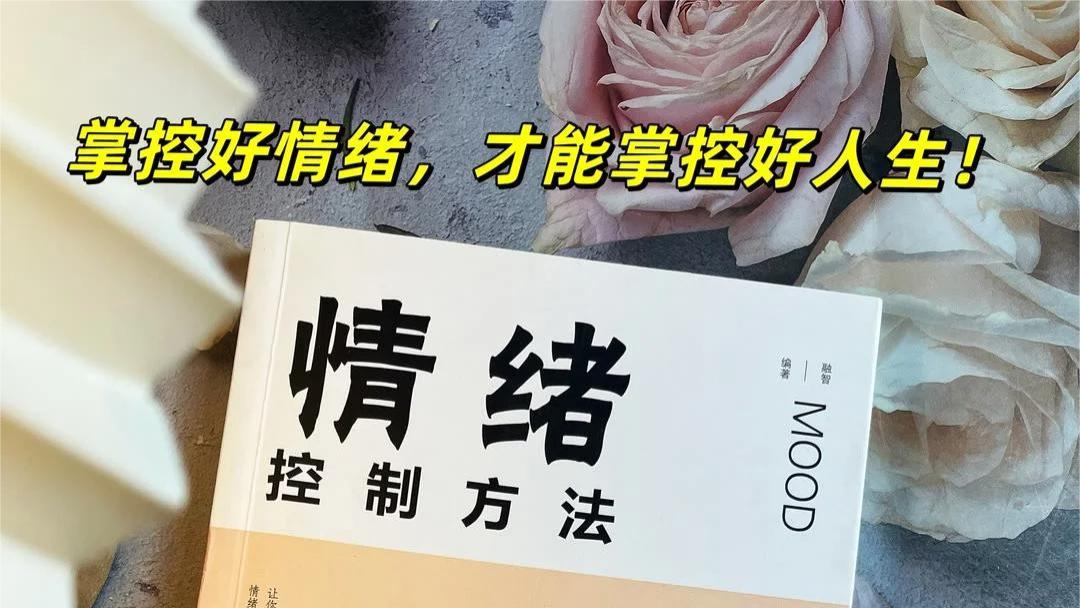 让大脑瞬间开悟的布局神书