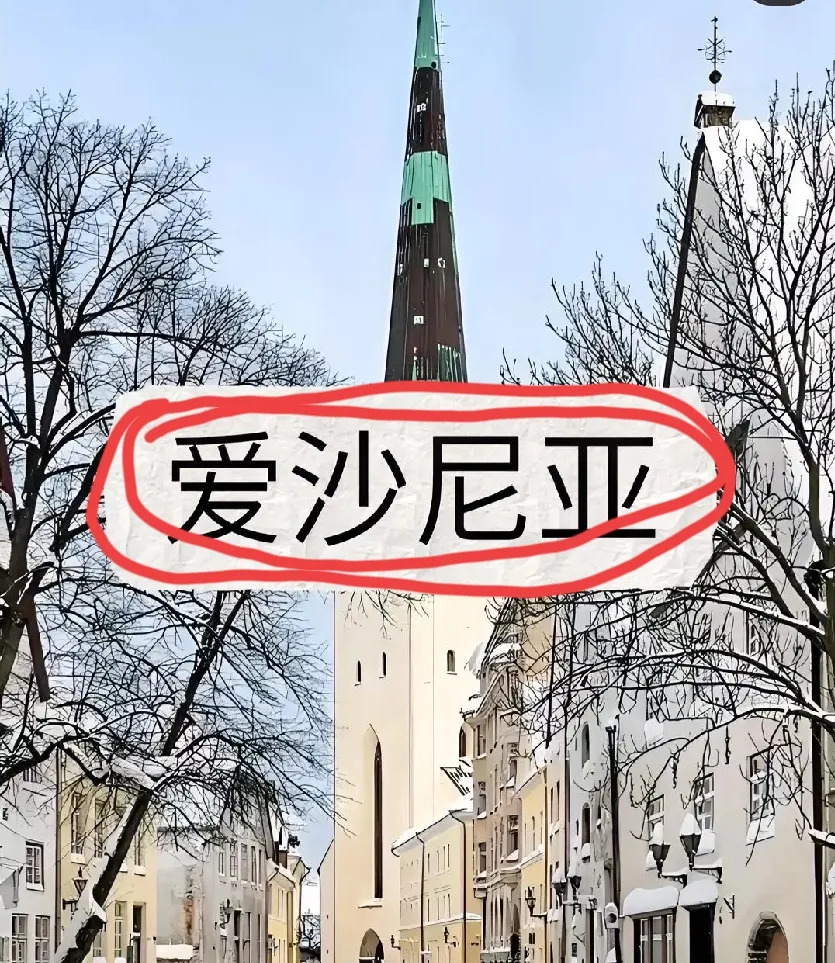 爱沙尼亚修宪限制俄白投票权











天呐！你敢信？一个小国，兵力不
