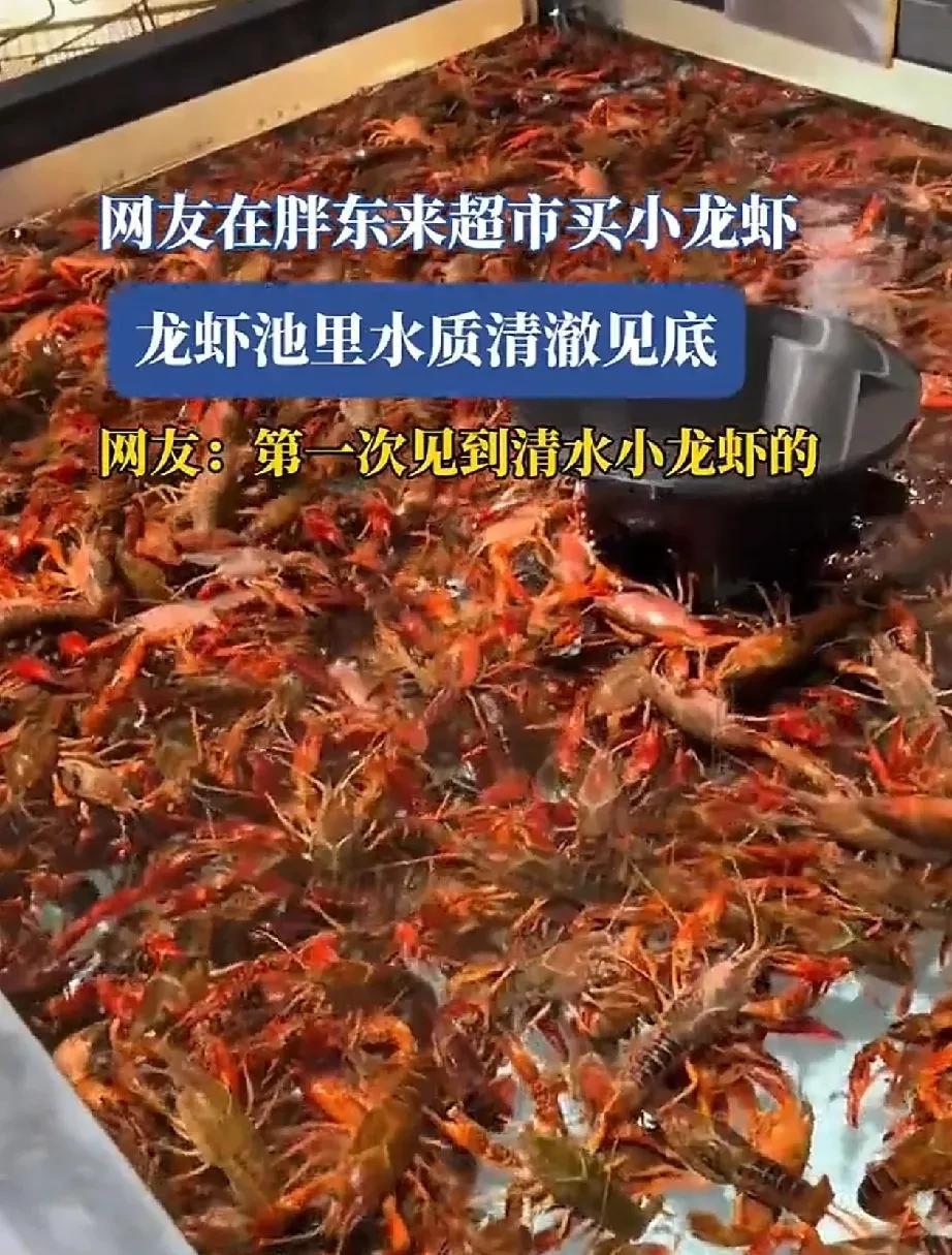 细节见人品，胖东来能火，是因为真的把消费者放心上，你见过卖小龙虾的水，这么清澈见