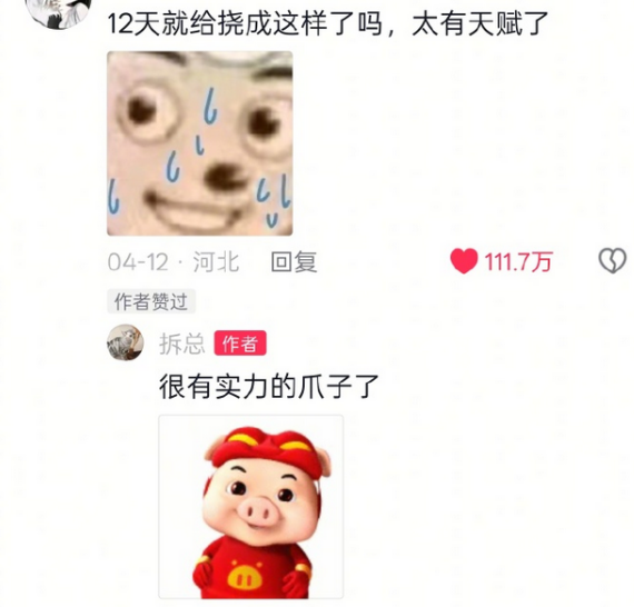 小猪咪能有什么错