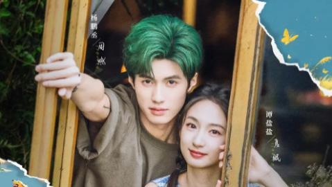 短剧《小狗抓蝴蝶》75 集解锁治愈系生活的温暖篇章