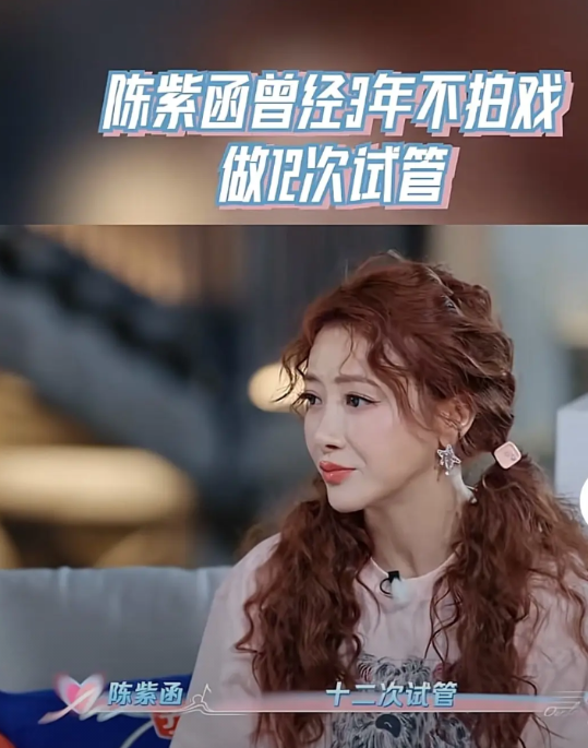 陈紫函为了生孩子，做了12次试管，最终都没有成功。

陈紫函说“我为了他，停工三