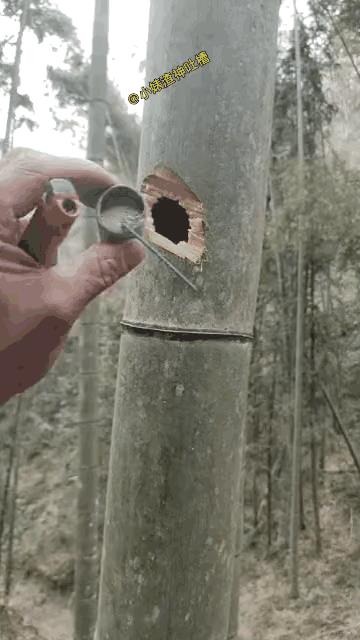 这才是爆竹的由来。