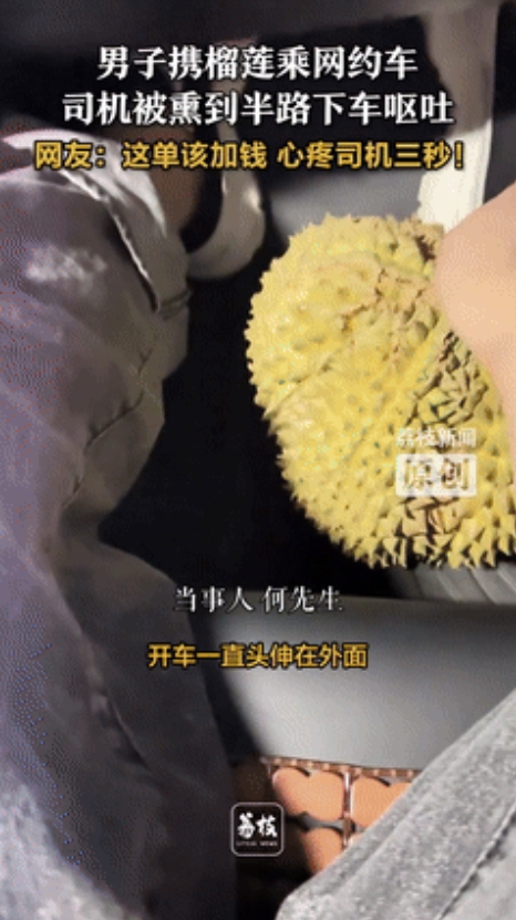 笑发财了！四川内江，一乘客带榴莲坐网约车，刚上车司机就被熏得受不了，时不时把头探