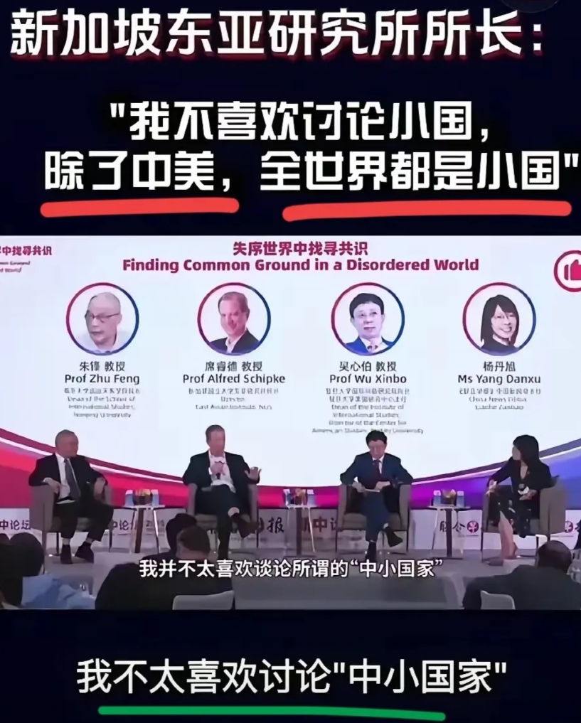 要论整治新加坡人，还得美国人来！美国教授到新加坡参加论坛，现场直言，除了中美之外