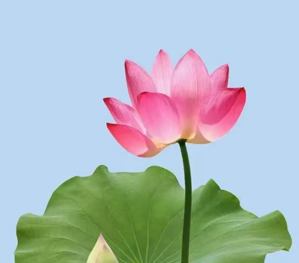 所谓心外无物，是回到本来，是拥有自觉。
心外无物，不是心的外面真的没有任何东西的
