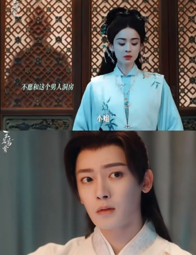 陆江来身世揭秘，生母陪嫁丫鬟出身，生儿遭虐逃亡后病逝，他随养父长大，状元及第后解