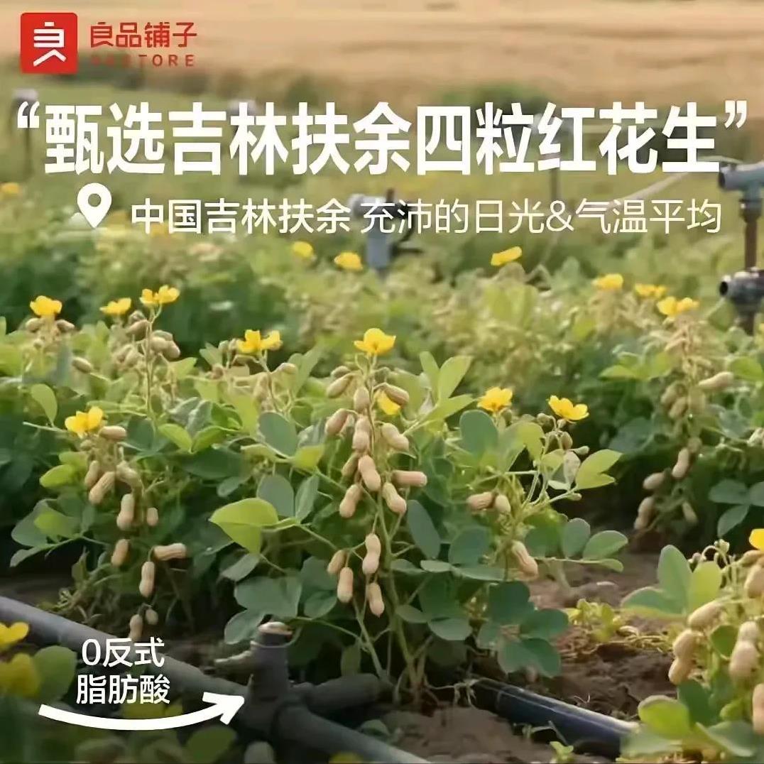 建议多让孩子下地劳动，不要一整天啃书本、看电视。