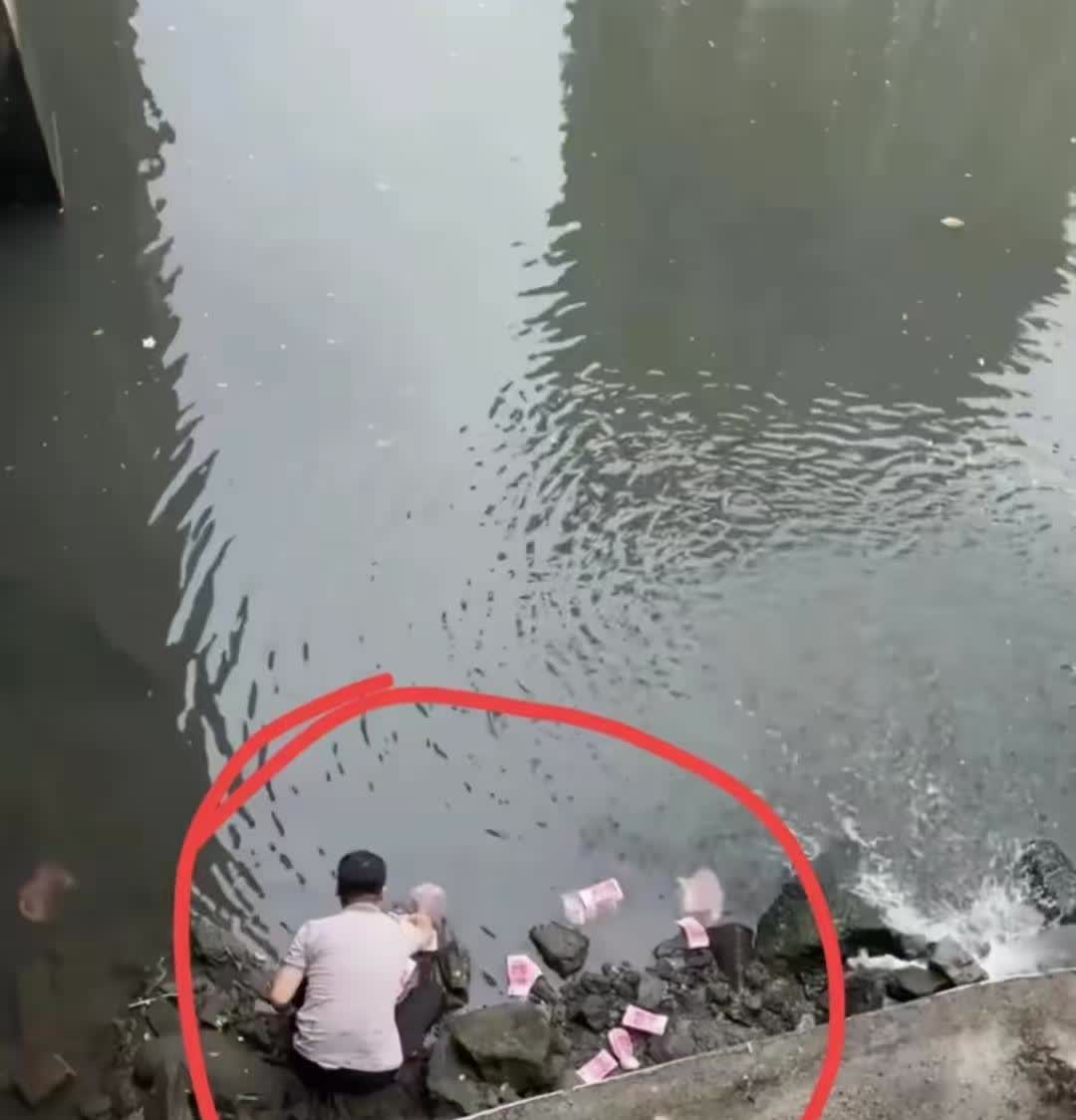 要我是这个捡钱男子

我才不会傻乎乎的将钱带走呢

我会直接录制视频，将