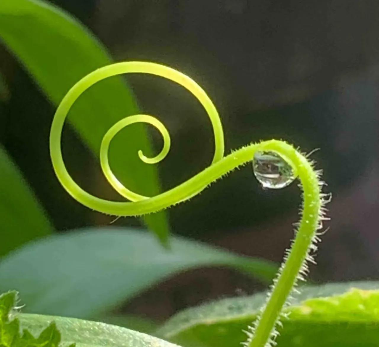 在没钱的时候，骑电动车出门就怕遇见熟人，怕丢面子。后来有钱了买了汽车，再骑电动车