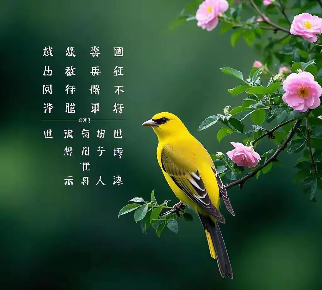 七绝·春菇对雨
文/方立新
春菇小伞对梅雨
错落纷华傲骨多。
不料牛童欣采去，