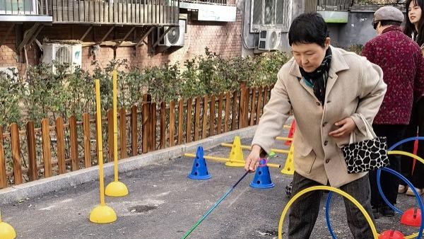 养犬守规践于行，邻里和睦暖人心