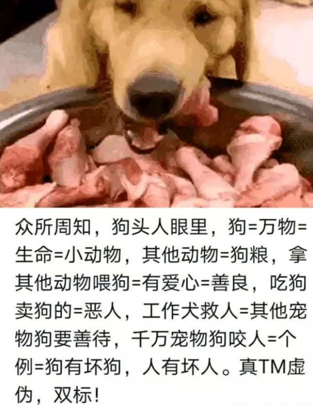 已经把猫狗高于人类了！