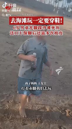 “飞来横祸！”8月25日福建厦门，女子带儿子去沙滩玩耍，男孩光着脚踩到了死鱼，当