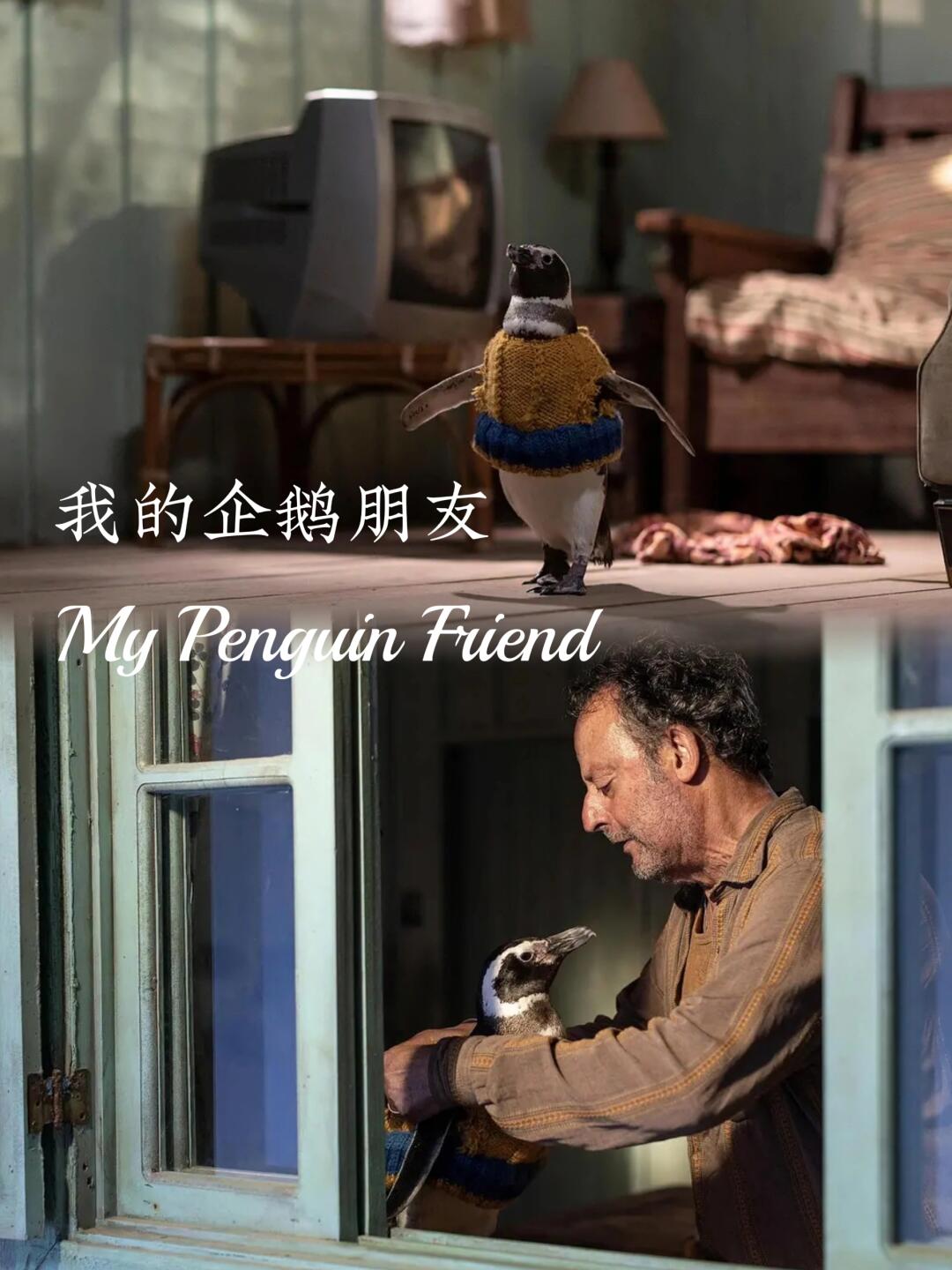 被这只企鹅整破防了‼️