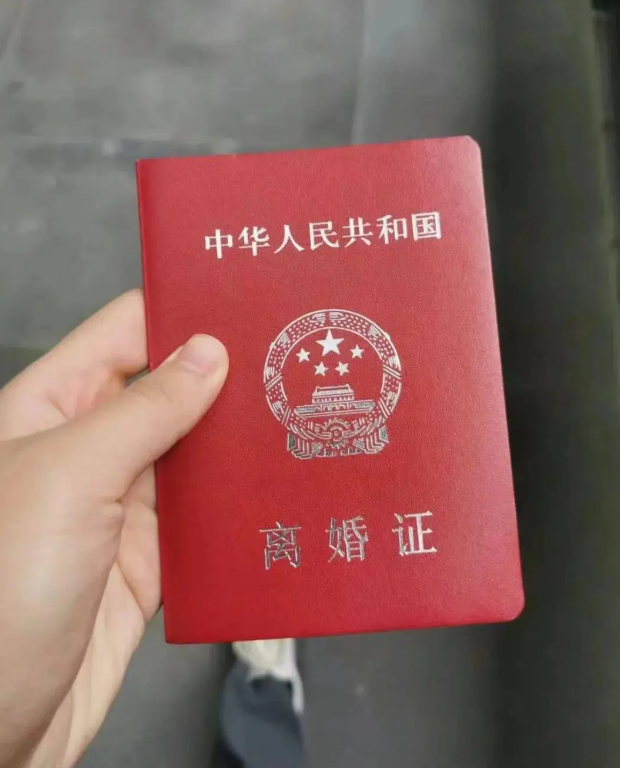 离婚后的重逢：一对夫妻的告别与释怀