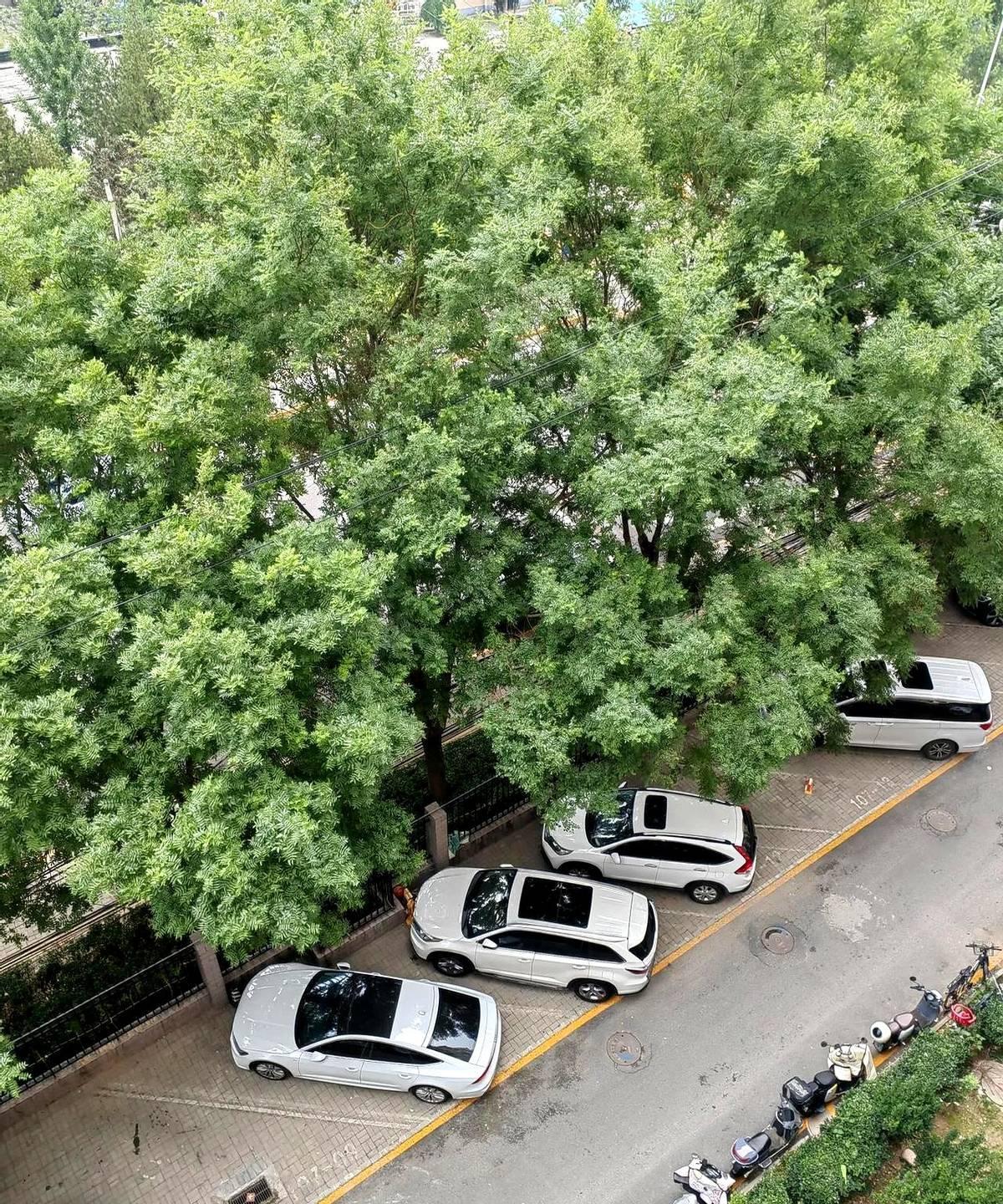 不得不感慨，女人的体力跟男人没法比，尤其是当兵的男人。
怪不得他总不能理解我的累